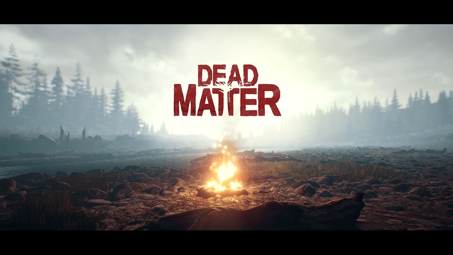 Dead Matter