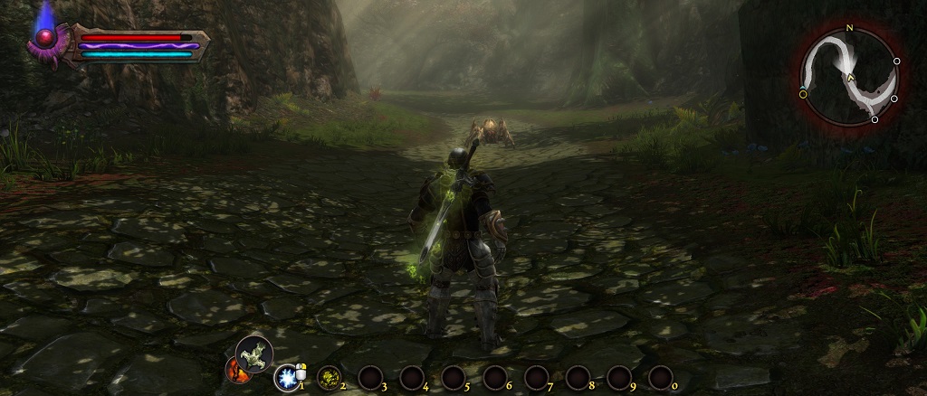 Kingdoms of Amalur R 6