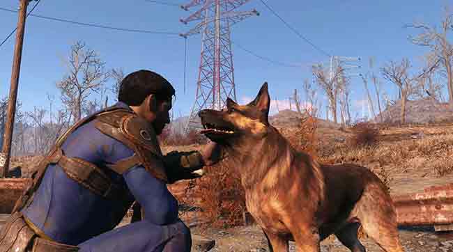 dogmeat