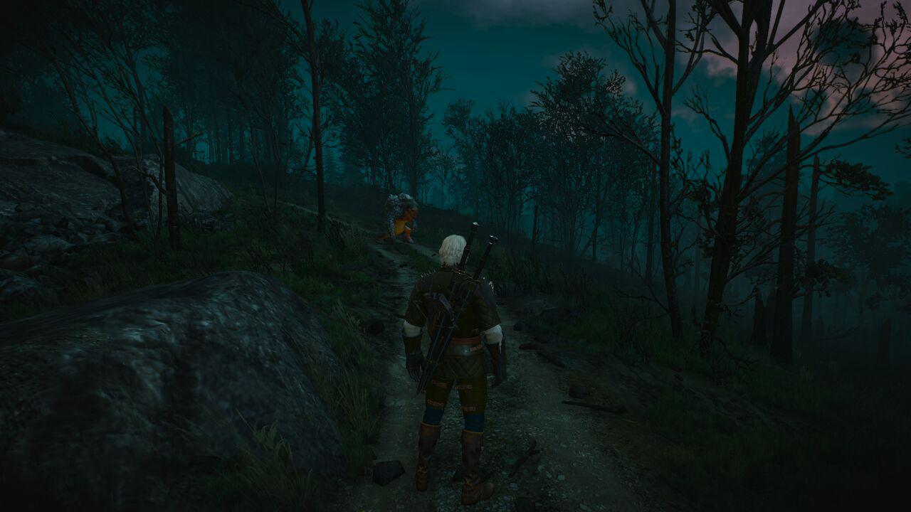 Witcher3