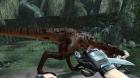 Turok