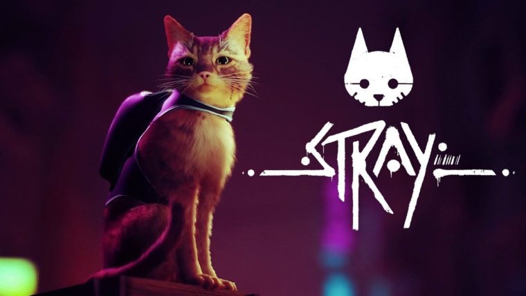 موعد انتشار Stray برای Xbox Series X/S و Xbox One مشخص شد