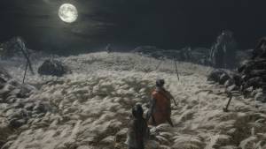 Sekiro Shadow Dies Twice