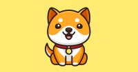 مزایا و کاربردهای ارز دیجیتال بیبی‌ دوج (BabyDoge)